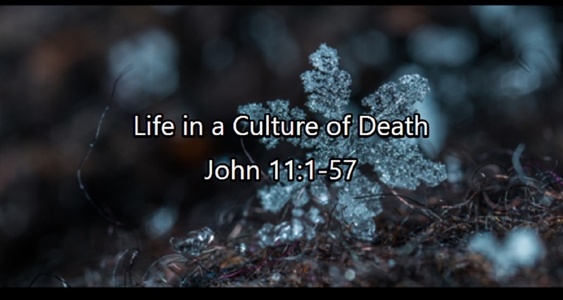 Sanctity of Life Sunday